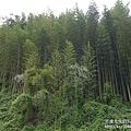 P1150610.JPG