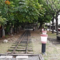 P1170278.JPG