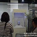 P1170813.JPG