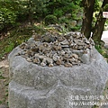 P1180018.JPG