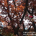 P1180054.JPG