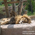 P1180102.JPG