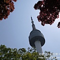 P1180204.JPG