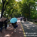 P1180201.JPG