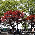 P1180205.JPG