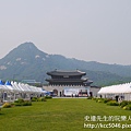 P1180374.JPG