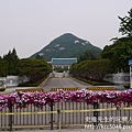 P1180418.JPG