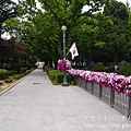 P1180437.JPG