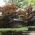 P1180439.JPG