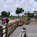 P1180562.JPG
