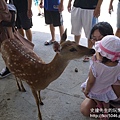 P1180582.JPG