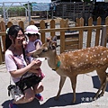P1180579.JPG