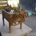 P1180600.JPG