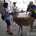 P1180583.JPG