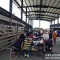 P1180608.JPG