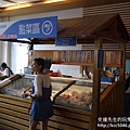 P1180624.JPG