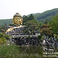 P1180002.JPG