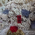 P1190372.JPG