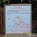 P1190306.JPG