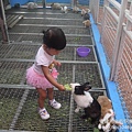 P1200040.JPG