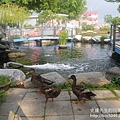 P1200023.JPG