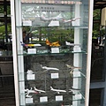 P1200071.JPG