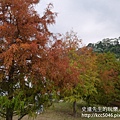 P1200306.JPG