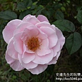 P1200324.JPG