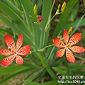 P1200325.JPG