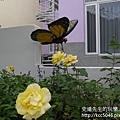 P1200330.JPG