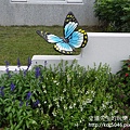 P1200334.JPG
