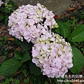 P1200347.JPG
