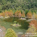 P1200367.JPG