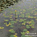P1200403.JPG