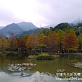 P1200420.JPG