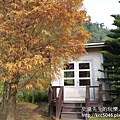 P1200395.JPG
