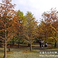 P1200400.JPG