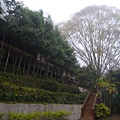 P1210131.JPG