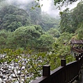 P1210165.JPG