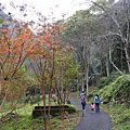P1210200.JPG