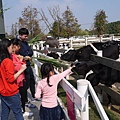P1200600.JPG