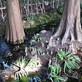 P1200641.JPG