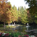 P1200645.JPG