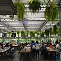 P1200650.JPG