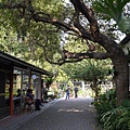 P1200654.JPG