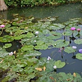 P1200691.JPG