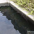 P1210239.JPG