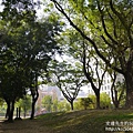 P1200828.JPG