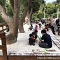 IMG_8999.JPG