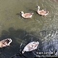 IMG_9014.JPG
